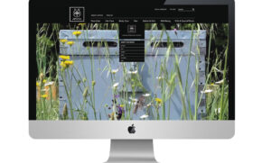 Apivita Website